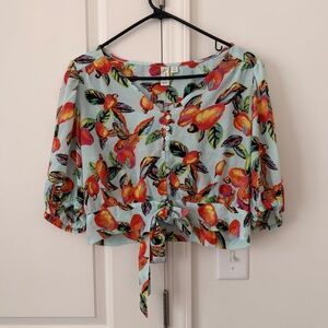Joie Floral Fruit Tropical Cropped Top Sz Large Waist Tie Summer Vacation Boho